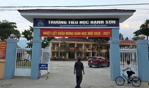 ĐƠN VỊ TRƯỜNG TIỂU HỌC
