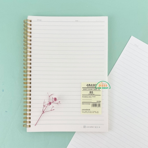 Sổ lò xo FT LN 854 17.5x25.2cm 120 trang 100gsm (60)