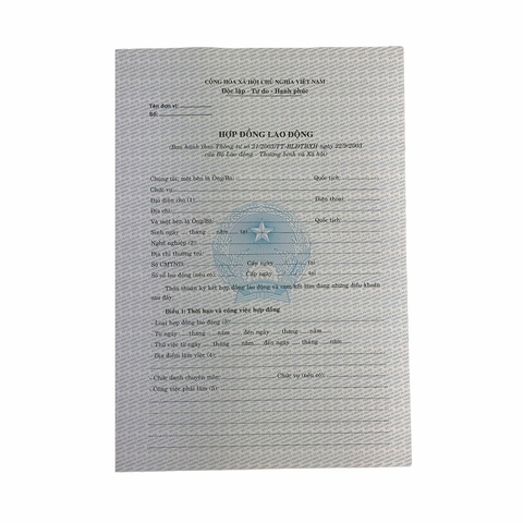 Hợp đồng lao động NY (100/1000)