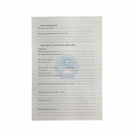 Hợp đồng lao động NY (100/1000)