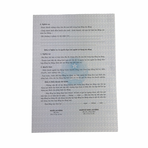 Hợp đồng lao động NY (100/1000)