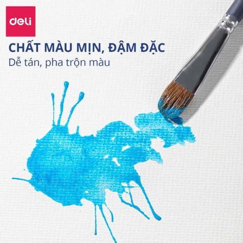 Màu nước Deli C12 (12)