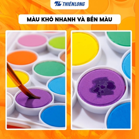 Màu nước TL Colokit WACO-C001 12 màu (24)