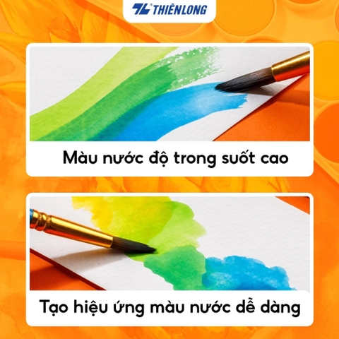 Màu nước TL Colokit WACO-C001 12 màu (24)