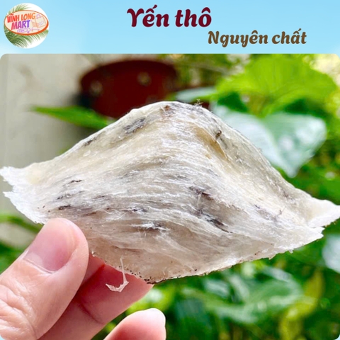 Yến thô nguyên chất - Tặng nhíp - Giá gốc từ nhà yến - Tổ ~ 8-10g