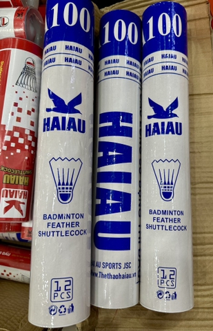 HỘP CẦU LÔNG HẢI ÂU A100 (12Q)