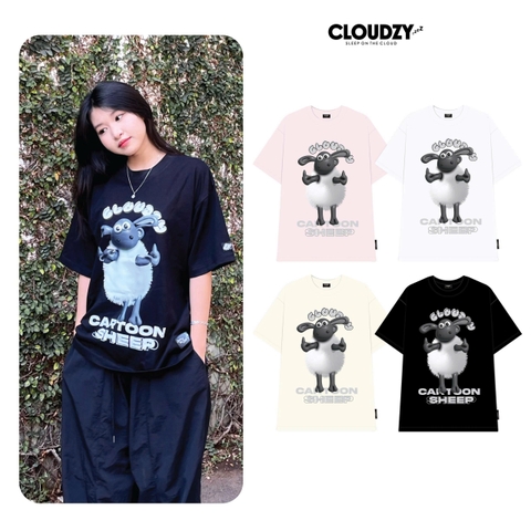 Áo thun basic nữ nam unisex phông local brand form rộng tay lỡ phong cách Hàn Quốc AT CARTOON