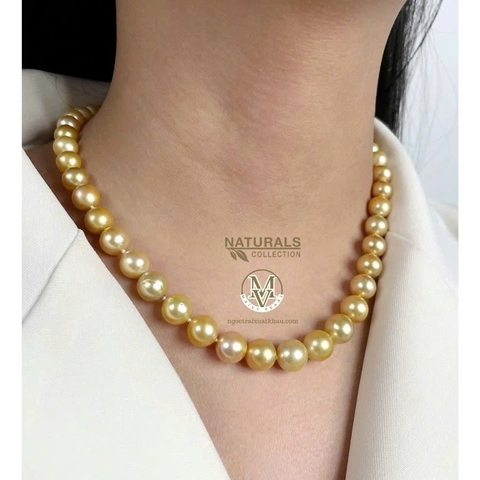 dây chuyền trai vàng 9-10li