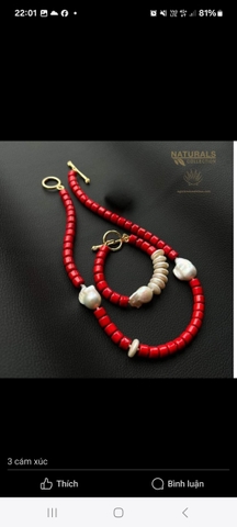 206- san hô mix brq