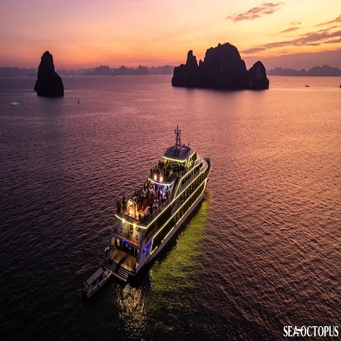 Du thuyền Sea Octopus Cruise ( tàu tối)