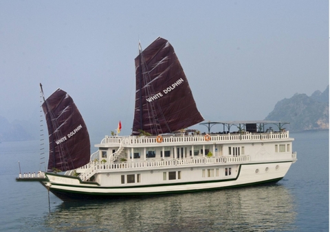 Du thuyền White Dolphin