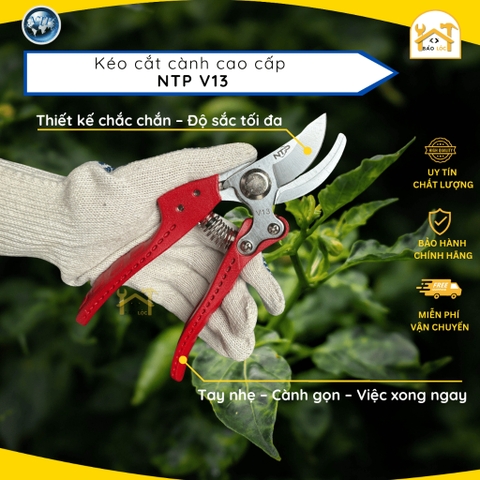 Kéo cắt cành NTP V13 chính hãng – Lưỡi SK5 bén, tay cầm chắc chắn - Hàng chính hãng.