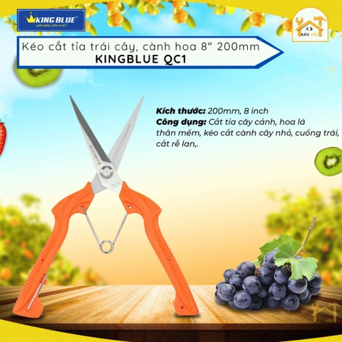 Kéo Cắt Cành, Cắt Trái Cây, Tỉa Cành Bonsai, Tỉa Lá Dăm Mũi Nhọn KingBlue QC1, Kéo Cắt Ngọt, Sắc Bén, Cầm Chắc Chắn