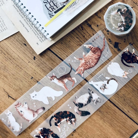 Chiết lẻ các mẫu PET tape shop pick up ở Taiwan và Malaysia