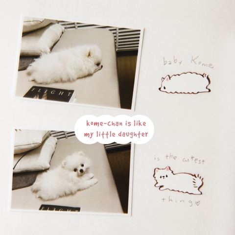 PET Tape Stickers - hình dán bế viền sẵn 