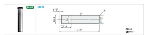 Trục Dẫn Hướng SGPH16