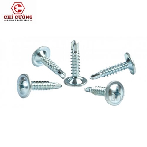 Vít Đuôi Cá Đầu Dù & Vít Tôn Đầu Lục Giác: Khác Nhau Ở Đâu?