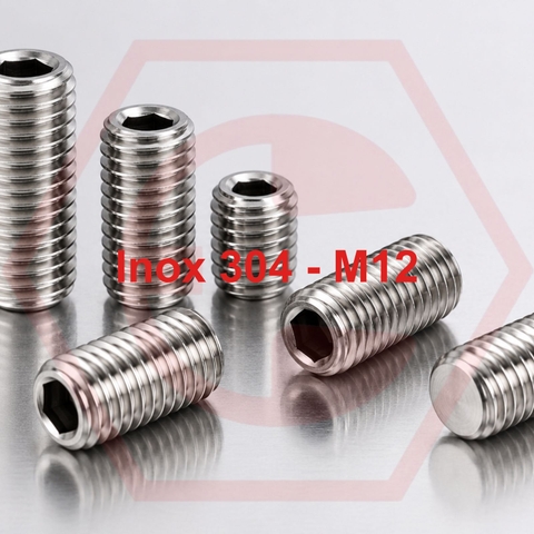 Lục Giác Âm 304 M12 ( đường kính 12mm)