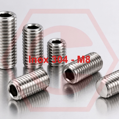 Lục Giác Âm 304 M8 ( đường kính 8mm)