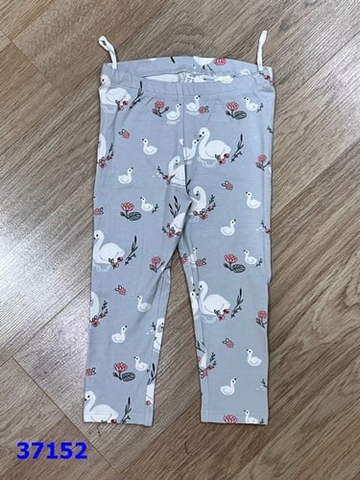 Legging HM xám thiên nga - size 18-24m