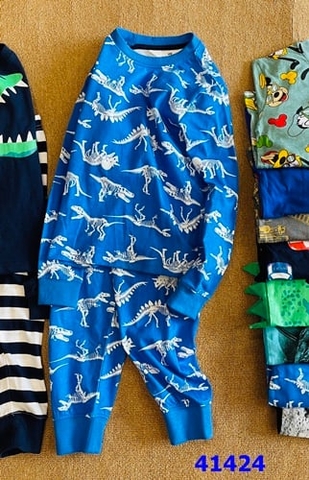 Bộ HM xanh dương khủng long - size 18-4m
