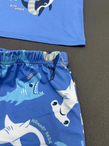 Bộ Primark xanh cá mập