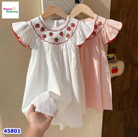 Đầm SaraMin trắng thêu dâu