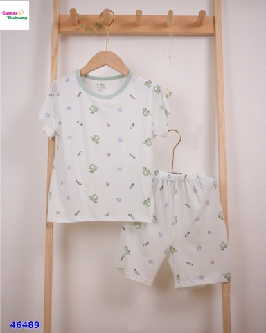 Bộ Tencel xe ô tô
