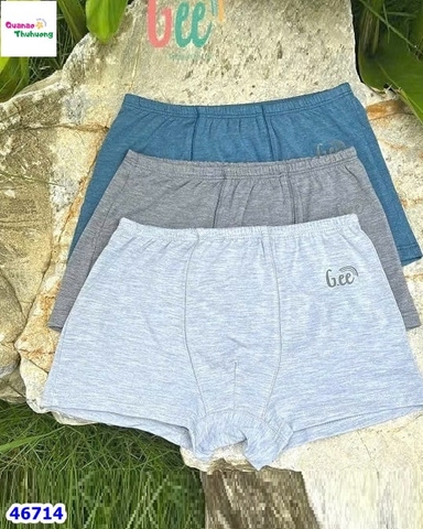 Set 3 quần chip Gee bé trai