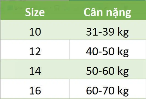 Set 3 quần chip Gee sọc
