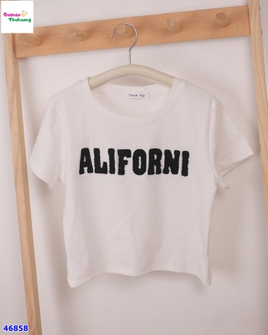 Áo trắng ALIF