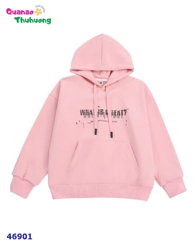Hoodie hồng What is?