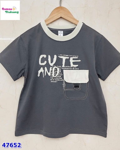 Áo LCT xám túi Cute