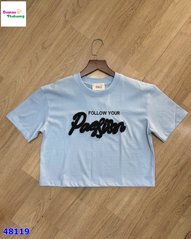 Áo crop xanh nhạt thêu Pa