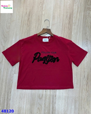 Áo crop đỏ thêu Pa