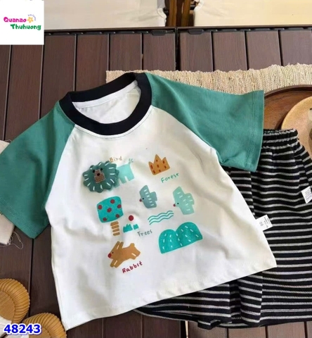 Bộ áo kem sư tử phối tay xanh