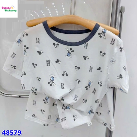 Bộ Tencel W kem Mickey