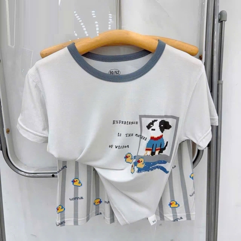 Bộ Tencel W xám chú chó lego