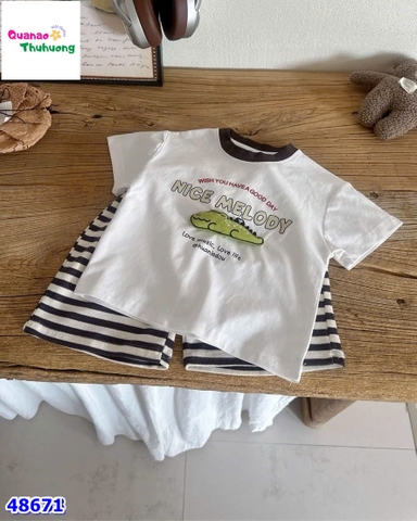 Set bộ trắng cá sấu