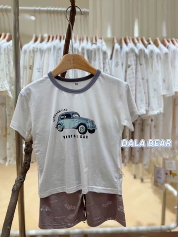 Bộ Tencel T xám ô tô