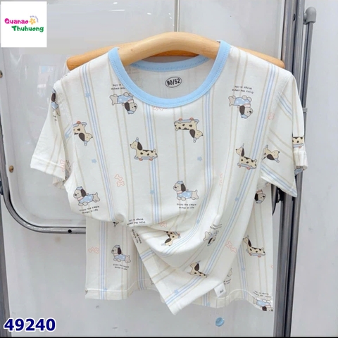 Bộ tencel W kem chó trượt ván