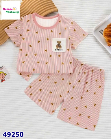 Bộ Q sọc hồng gấu nâu