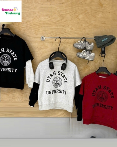 Áo sweater xám tay đen Utah star