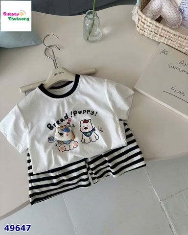Set bộ trắng cún puppy