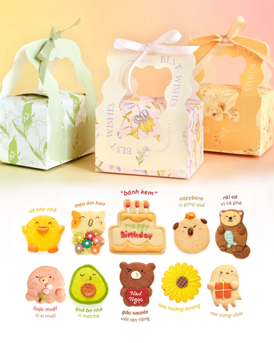 Hộp bánh LiLy Sinh nhật