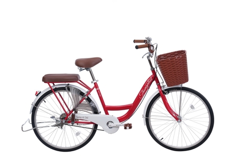Xe đạp Thống Nhất New 24