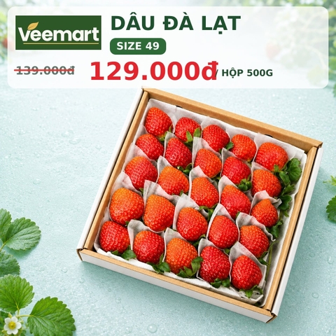 Dâu tây Đà Lạt size 49 hộp 500g