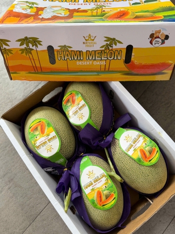 Dưa Đài Hami Melon