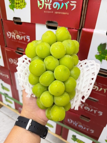 Nho sữa 2 chùm thùng đỏ