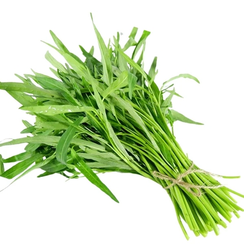 Rau muống